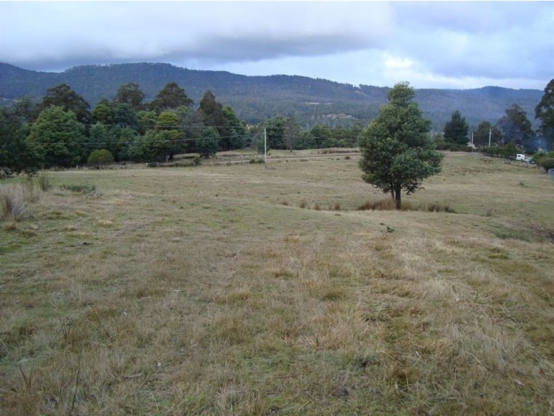 * Fyfes Road, Mountain River TAS 7109