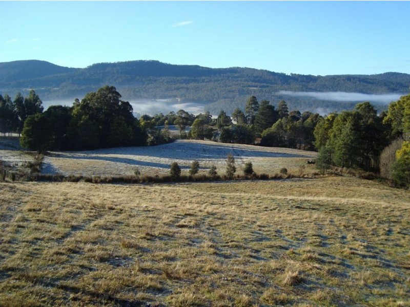 * Fyfes Road, Mountain River TAS 7109