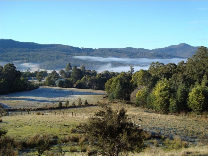 * Fyfes Road, Mountain River TAS 7109