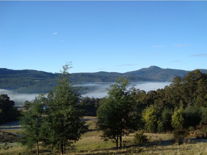 * Fyfes Road, Mountain River TAS 7109