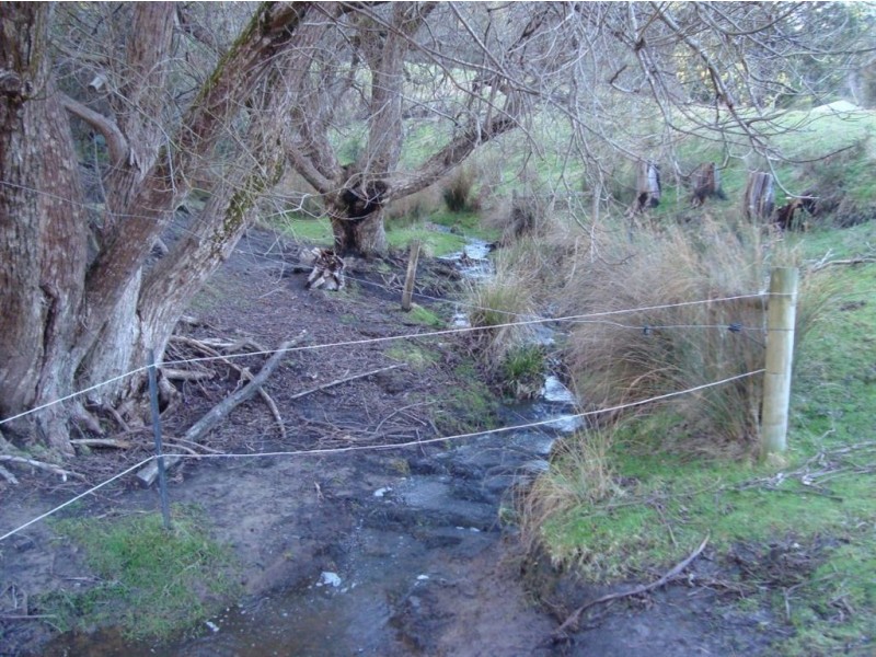 * Fyfes Road, Mountain River TAS 7109