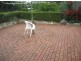 13 The Esplanade, Cygnet TAS 7112