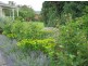 13 The Esplanade, Cygnet TAS 7112