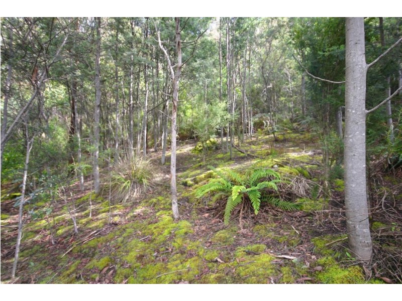 * Powers Road, Lower Snug TAS 7054