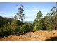 - Coxs Road, Middleton TAS 7163