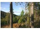 - Coxs Road, Middleton TAS 7163