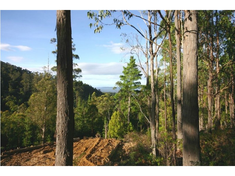 - Coxs Road, Middleton TAS 7163