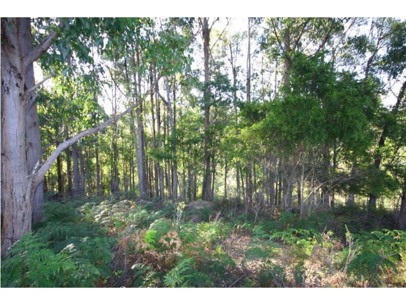 - Coxs Road, Middleton TAS 7163