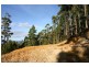 - Coxs Road, Middleton TAS 7163