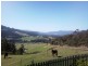 98 Deans Road, Glen Huon TAS 7109