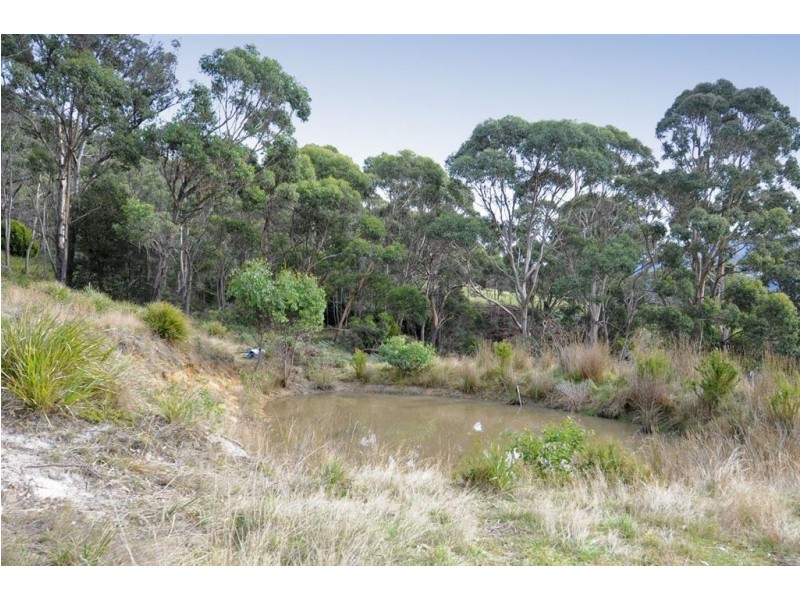 98 Alburys Road, Huonville TAS 7109