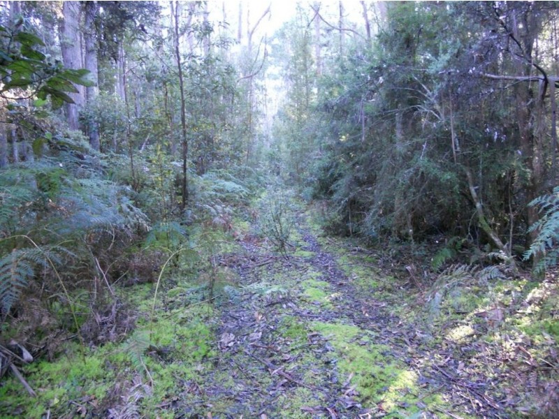 Lot 4 Gallaghers Road, Flowerpot TAS 7163