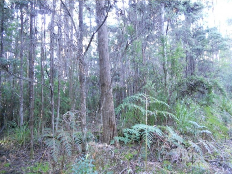 Lot 4 Gallaghers Road, Flowerpot TAS 7163