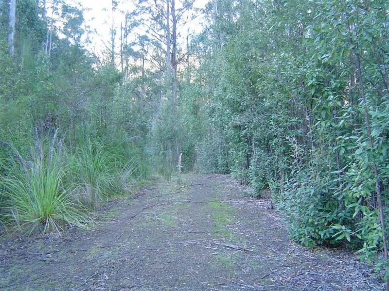 291 Guys Road, Cygnet TAS 7112