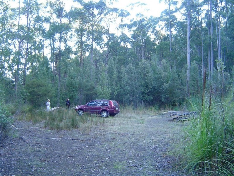291 Guys Road, Cygnet TAS 7112