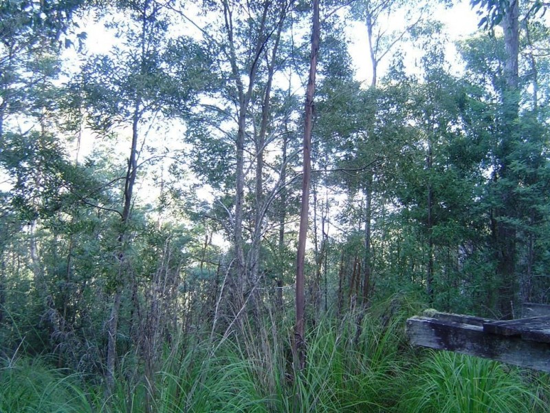 291 Guys Road, Cygnet TAS 7112