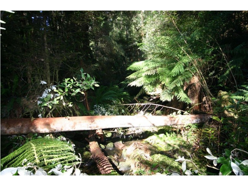 - Donnellys Road, Geeveston TAS 7116