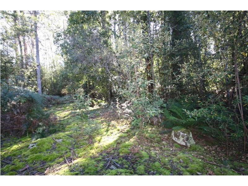 - Donnellys Road, Geeveston TAS 7116