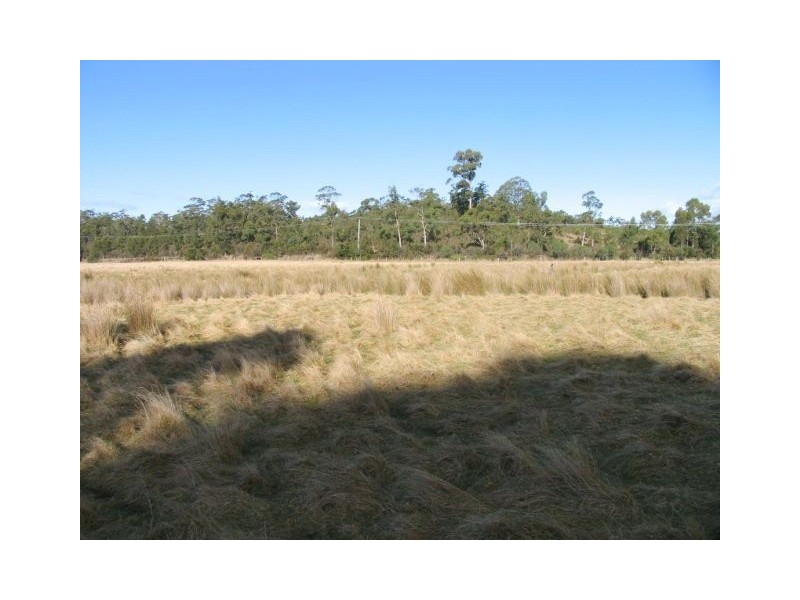 80 Hastings Caves Road, Hastings TAS 7109