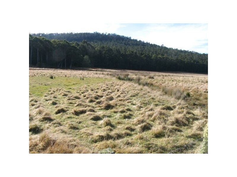 80 Hastings Caves Road, Hastings TAS 7109