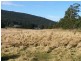 80 Hastings Caves Road, Hastings TAS 7109