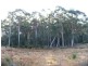 80 Hastings Caves Road, Hastings TAS 7109