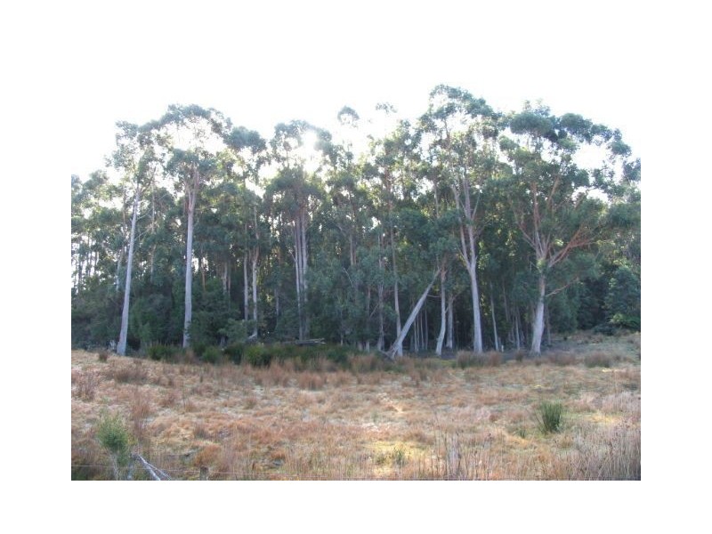80 Hastings Caves Road, Hastings TAS 7109