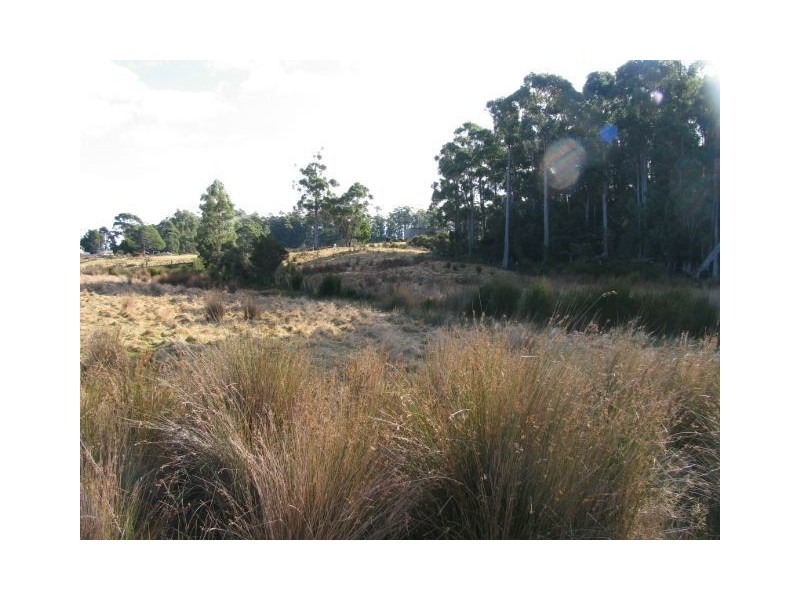 80 Hastings Caves Road, Hastings TAS 7109