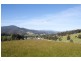 169a Watsons Road, Glen Huon TAS 7109