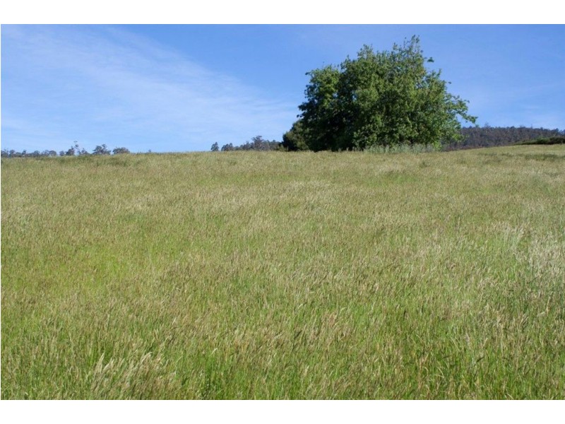 169a Watsons Road, Glen Huon TAS 7109