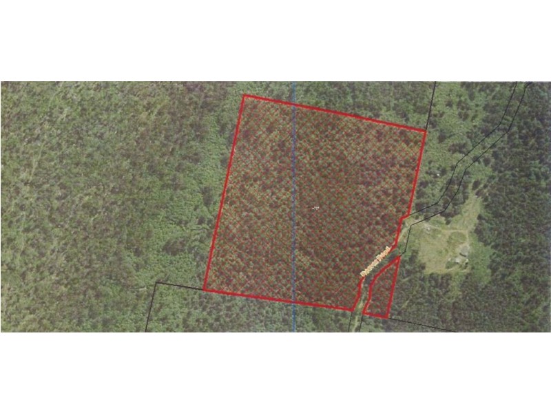 286 Reeves Road, Pelverata TAS 7150