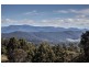 301 She Oak Road, Judbury TAS 7109