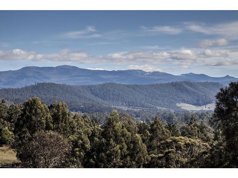 301 She Oak Road, Judbury TAS 7109