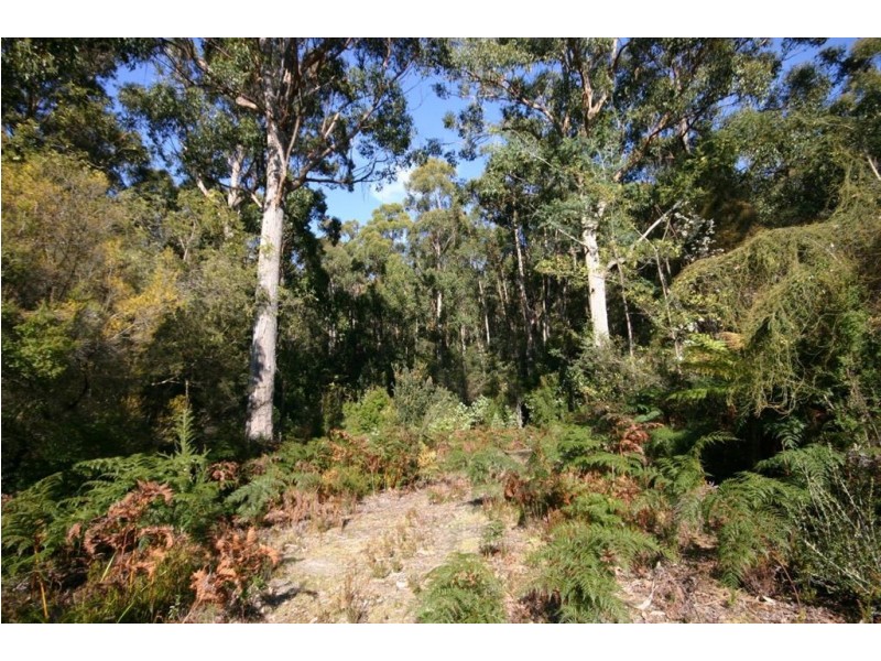 Lot 1 Jager Road, Southport TAS 7109