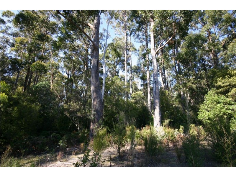 Lot 1 Jager Road, Southport TAS 7109