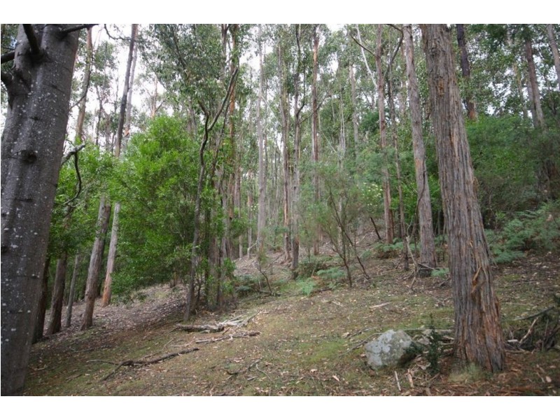 30 Ginns Road, Wattle Grove TAS 7109