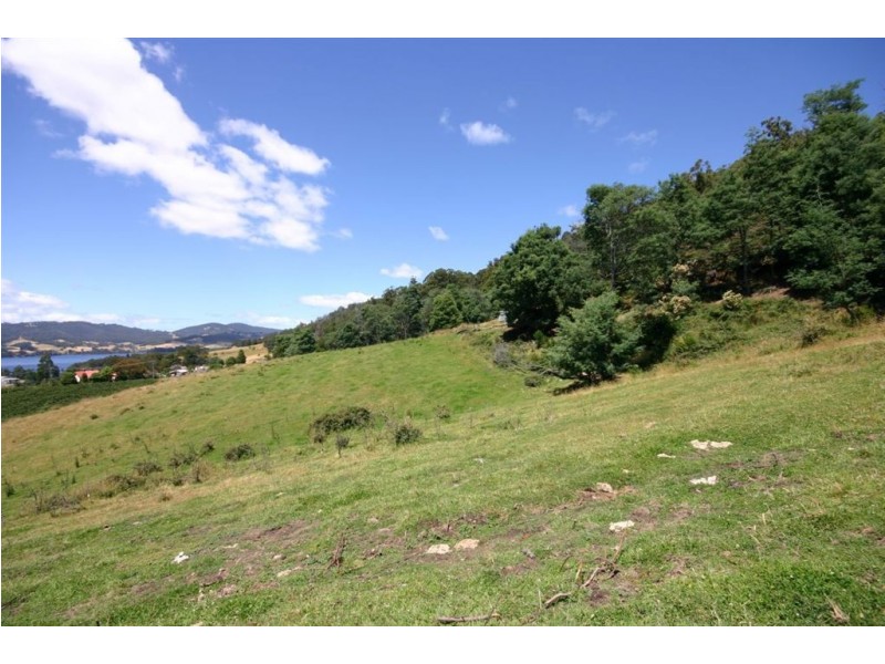 RA Triffets Lane, Castle Forbes Bay TAS 7116