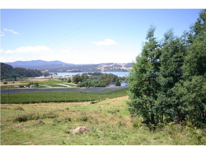 RA Triffets Lane, Castle Forbes Bay TAS 7116