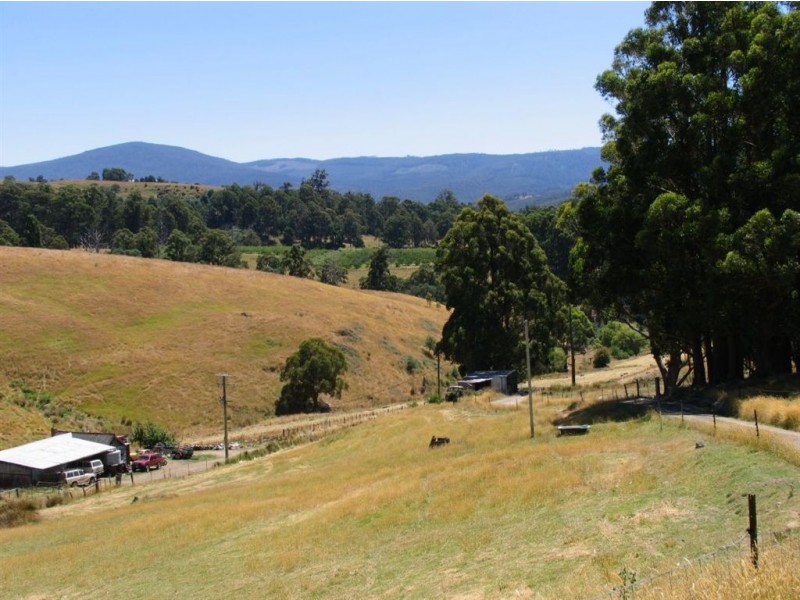 Lot 1/4 Tunbridges Road, Glen Huon TAS 7109