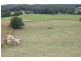 33 Bennetts Road, Mountain River TAS 7109