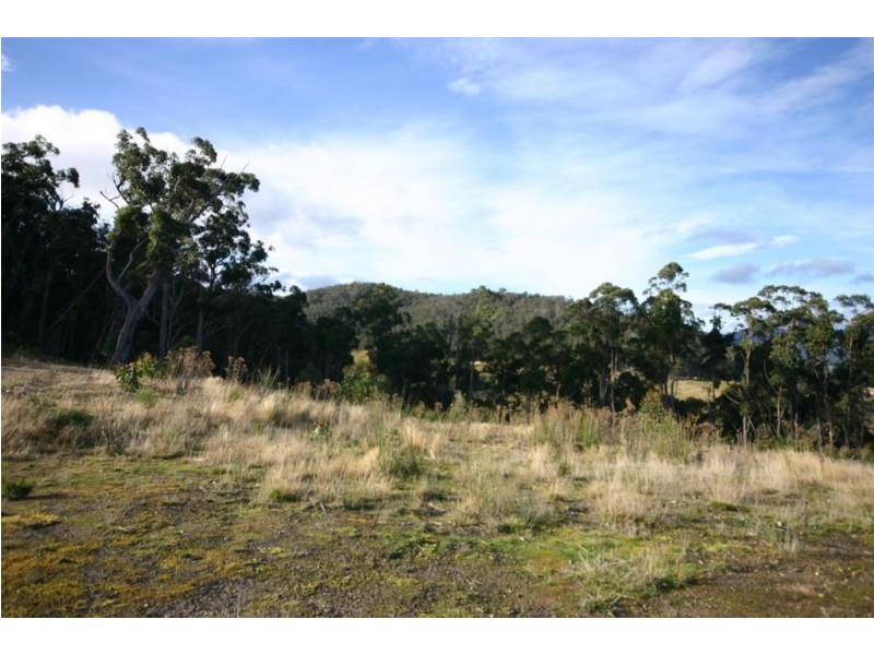 Lot 4 Browns Road, Ranelagh TAS 7109