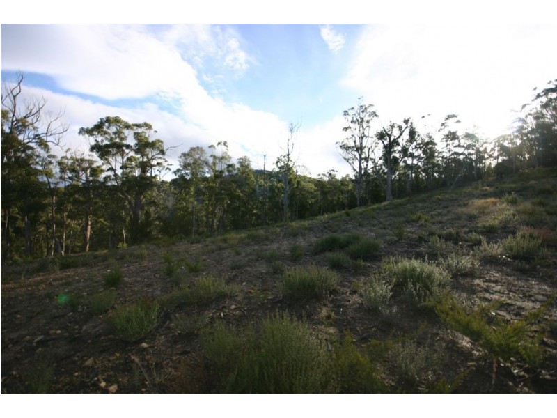 Lot 4 Browns Road, Ranelagh TAS 7109