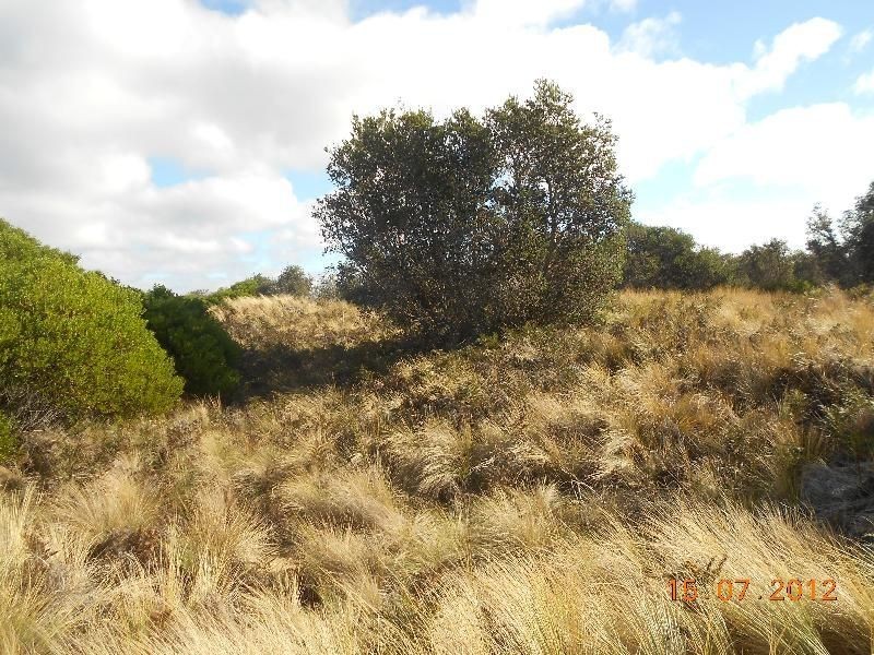 Lot 88/597 Dolphin Sands Road, Swansea TAS 7190