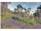 Lot 4 Lloyds Road, Franklin TAS 7113