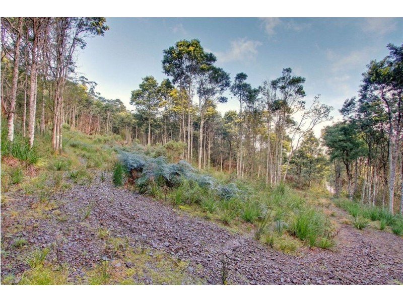 Lot 4 Lloyds Road, Franklin TAS 7113