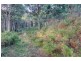 Lot 4 Lloyds Road, Franklin TAS 7113