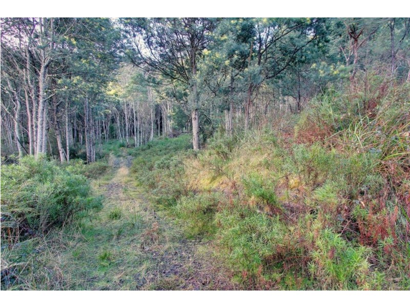 Lot 4 Lloyds Road, Franklin TAS 7113