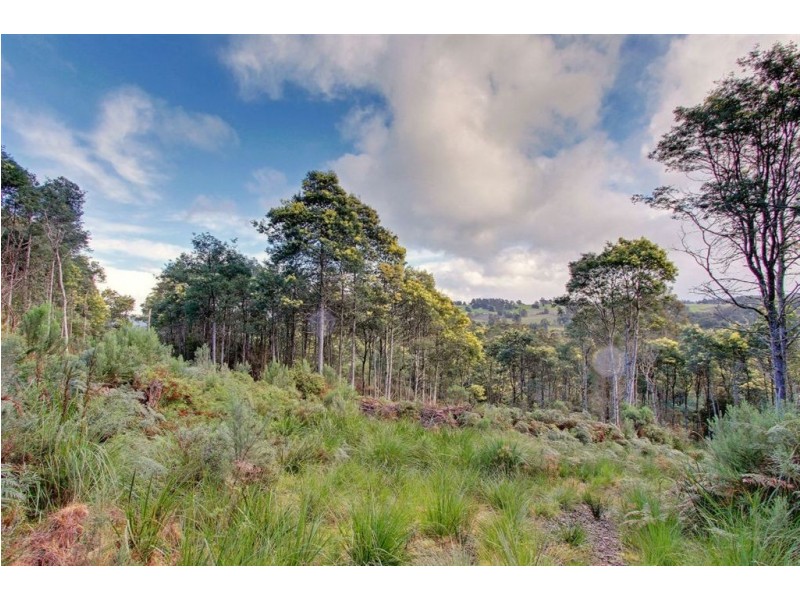 Lot 4 Lloyds Road, Franklin TAS 7113