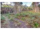 Lot 4 Lloyds Road, Franklin TAS 7113