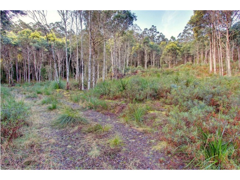 Lot 4 Lloyds Road, Franklin TAS 7113